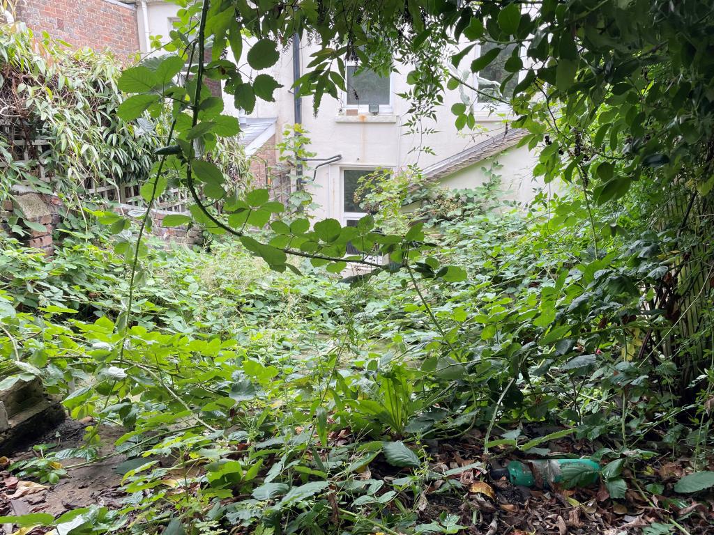 Lot: 4 - TERRACE HOUSE IN NEED OF REFURBISHMENT - Tiered overgrown rear garden